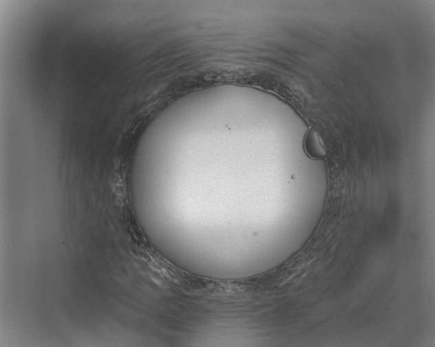 X0000069801109200606021432