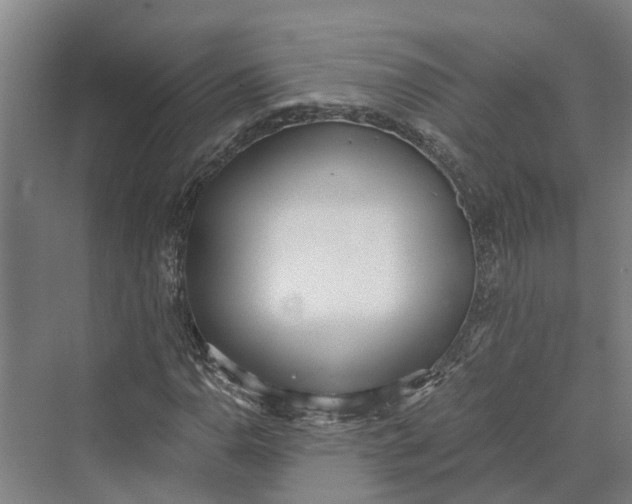 X0000069801110200606021432