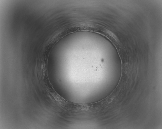 X0000069801111200606021432