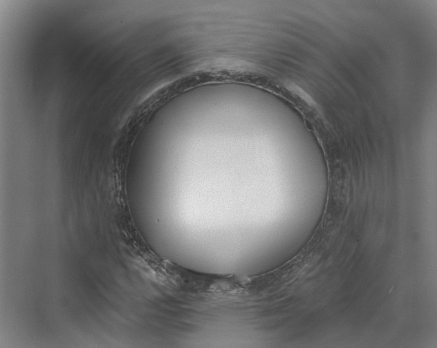 X0000069801112200606021432