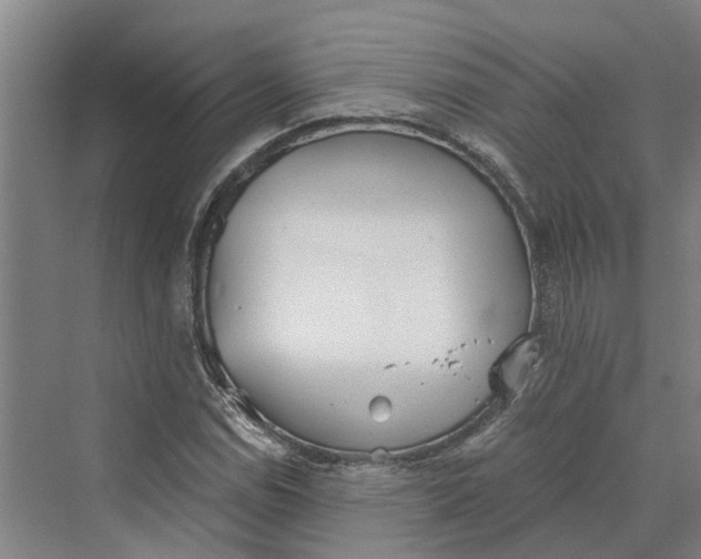 X0000069801114200606021432