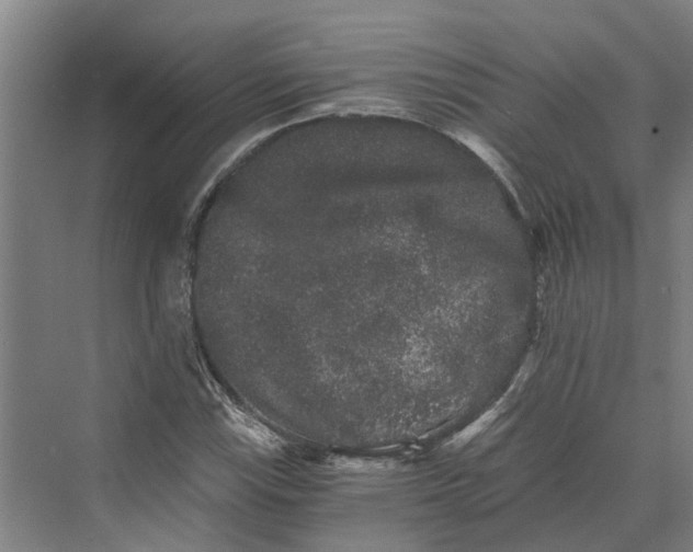 X0000069801115200606021432