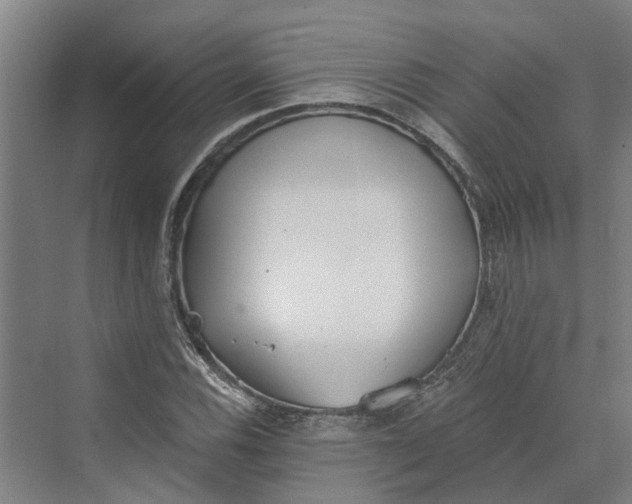 X0000069801116200606021432