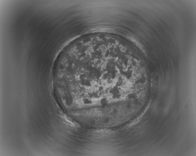 X0000069801117200606021432