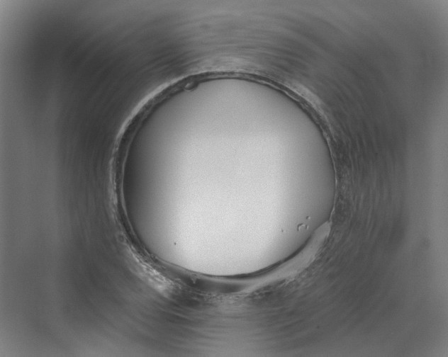 X0000069801120200606021432