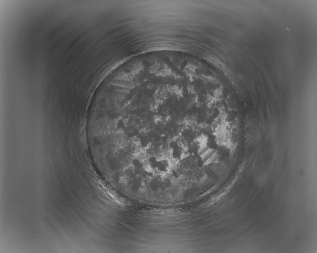 X0000069801121200606021432