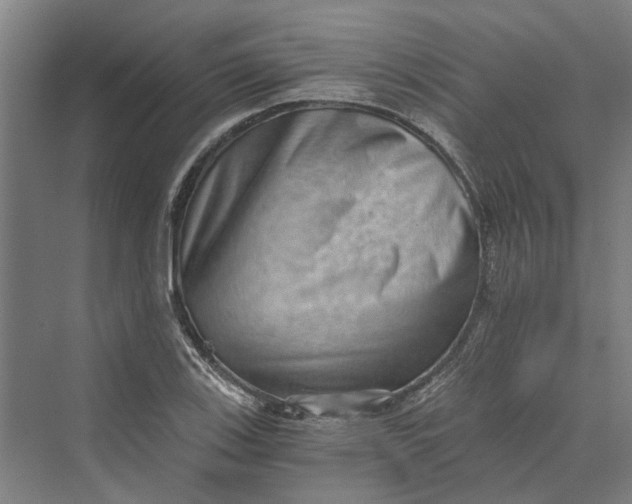 X0000069801123200606021432