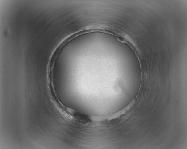 X0000069801124200606021432