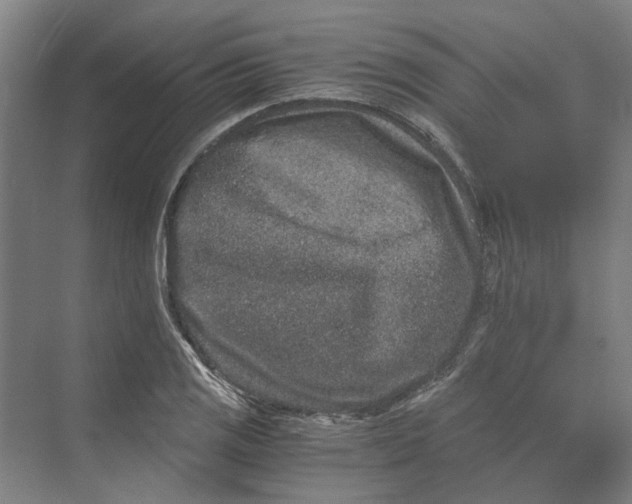 X0000069801125200606021432