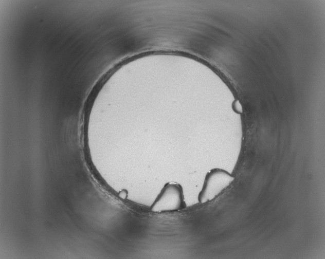 X0000069801126200606021432