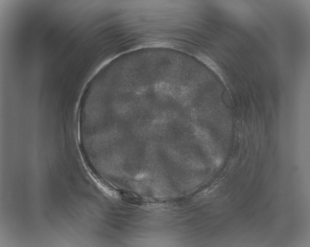 X0000069801127200606021432