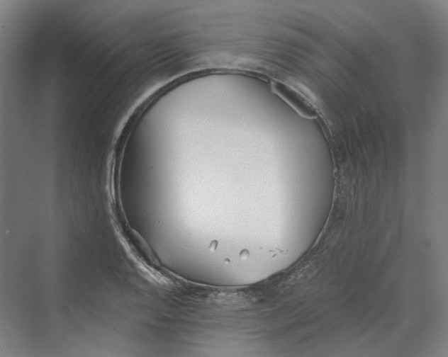 X0000069801128200606021432