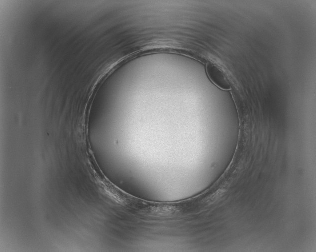 X0000069801129200606021432