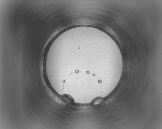 X0000069801130200606021432