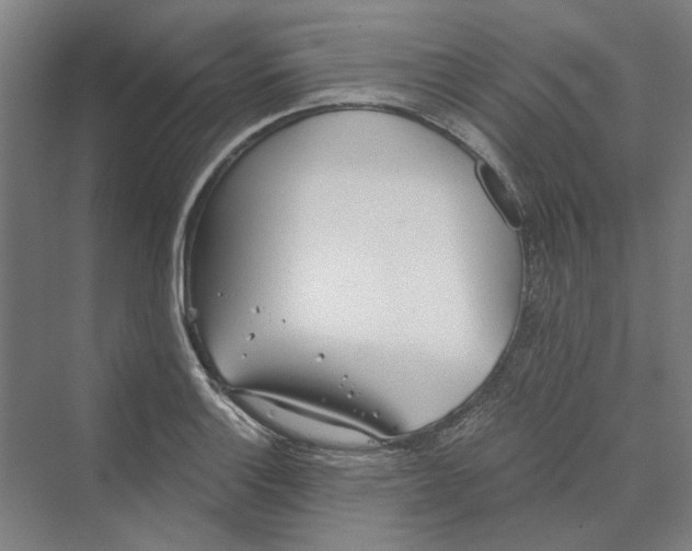 X0000069801132200606021432