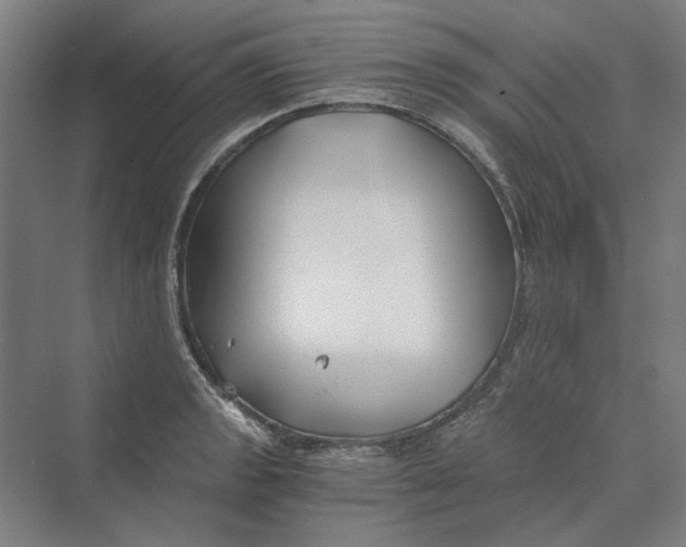 X0000069801133200606021432