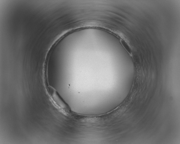 X0000069801134200606021432