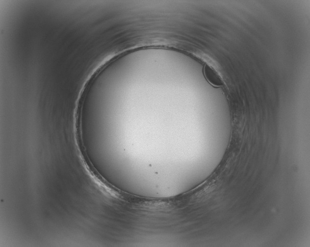 X0000069801135200606021432