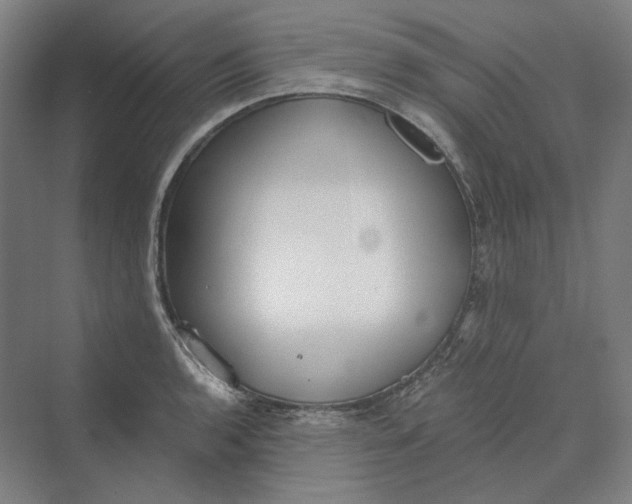 X0000069801136200606021432