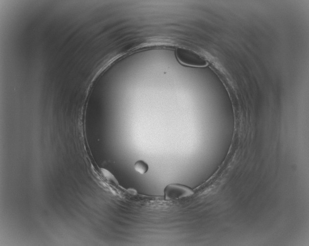 X0000069801137200606021432