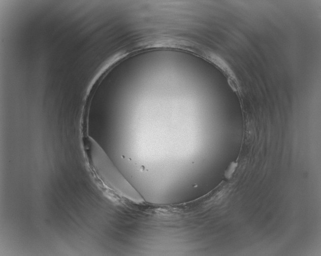 X0000069801138200606021432