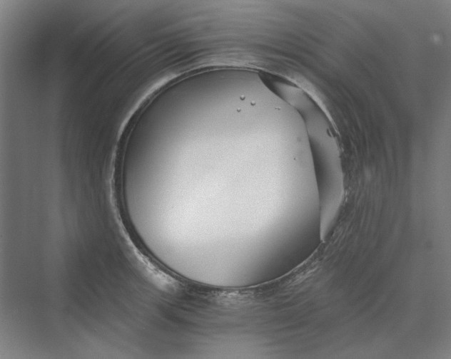 X0000069801139200606021432