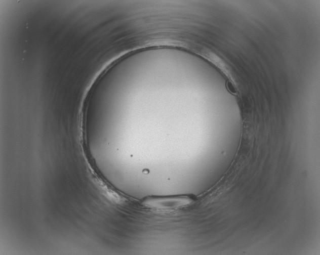 X0000069801140200606021432