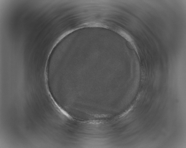 X0000069801141200606021432