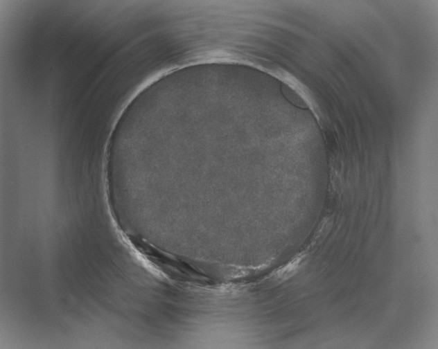 X0000069801142200606021432