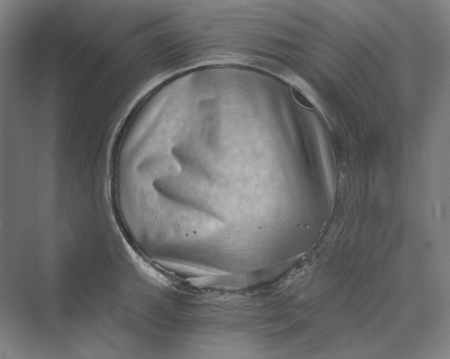 X0000069801143200606021432