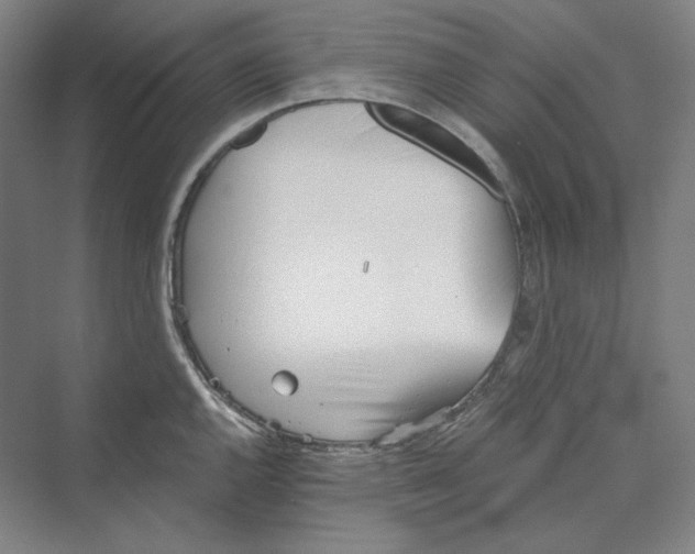 X0000069801144200606021432