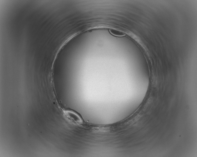 X0000069801145200606021432