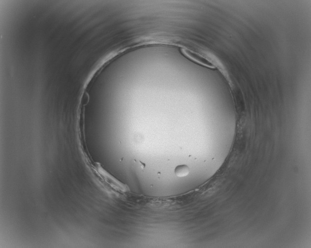 X0000069801146200606021432