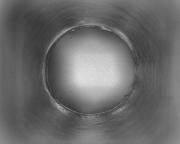 X0000069801149200606021432