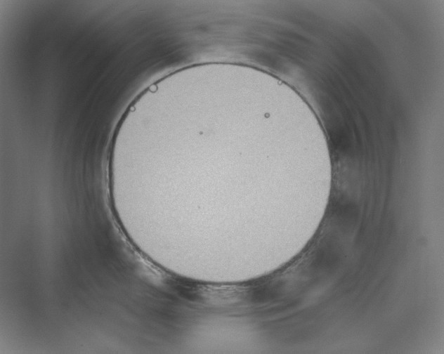 X0000069801150200606021433