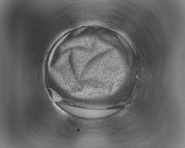 X0000069801151200606021433