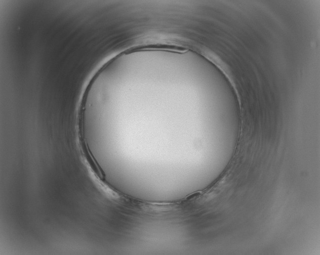 X0000069801152200606021433