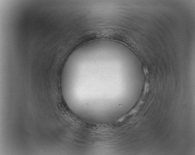 X0000069801153200606021432