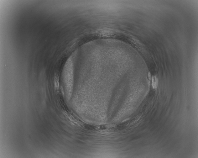 X0000069801155200606021432