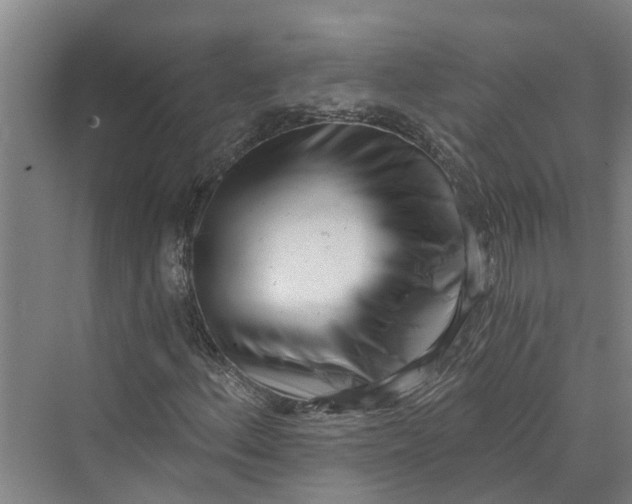 X0000069801156200606021432