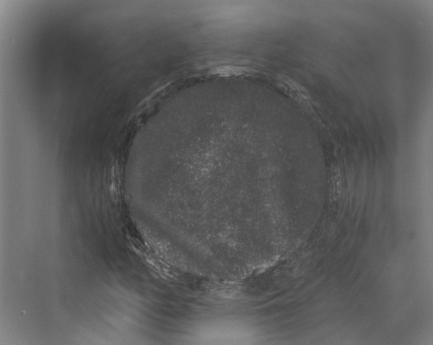 X0000069801158200606021432