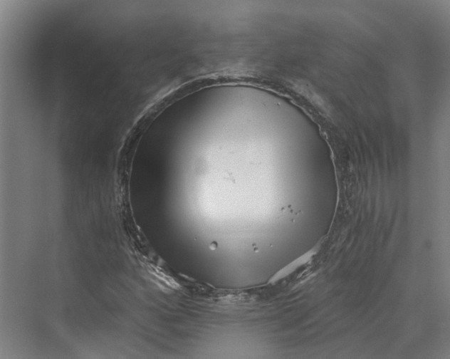 X0000069801160200606021432