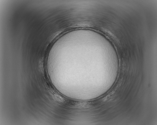 X0000069801162200606021432