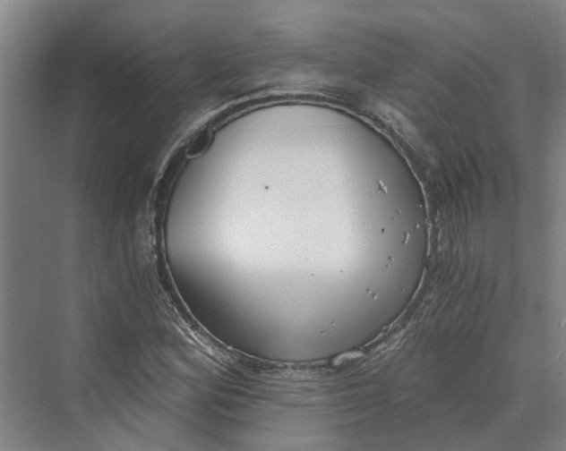 X0000069801164200606021432