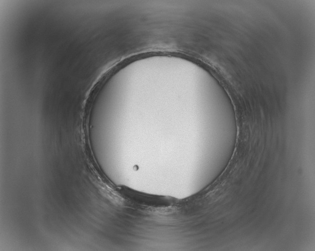 X0000069801168200606021431