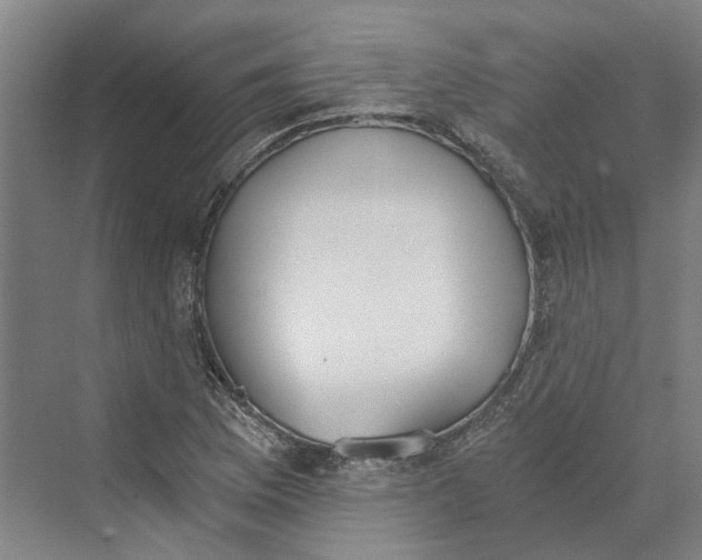 X0000069801169200606021431