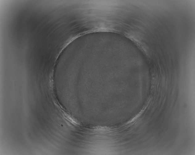 X0000069801170200606021431