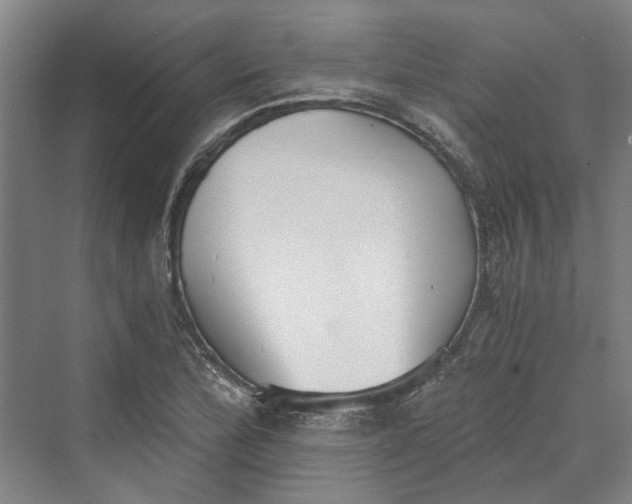 X0000069801172200606021431