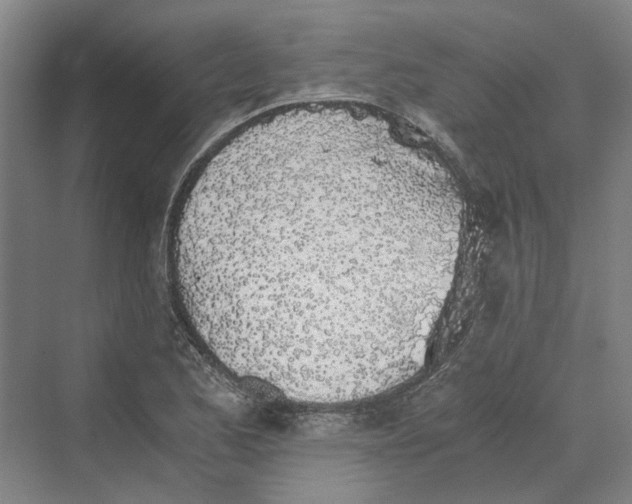 X0000069801173200606021431