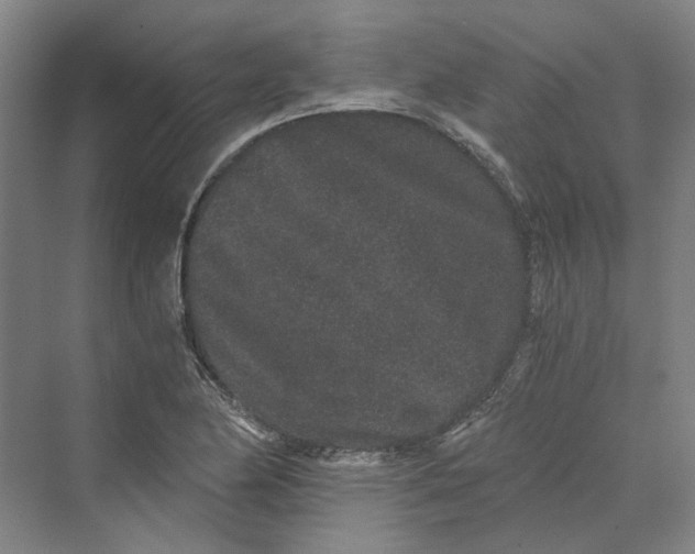 X0000069801174200606021431